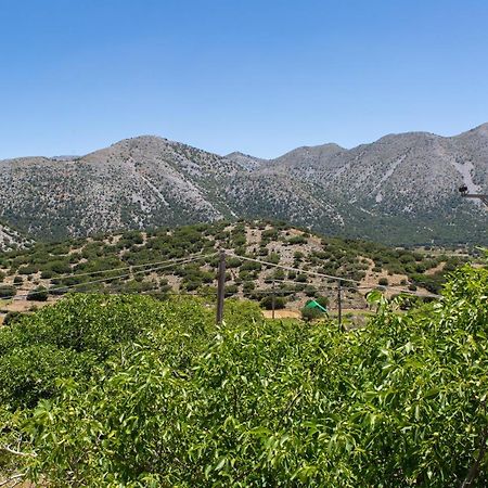 Villa Skyphos Ammoudari Exterior photo